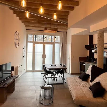 Loft Avec Terrasse Au Pied Du Chateau Amboise Exterior foto